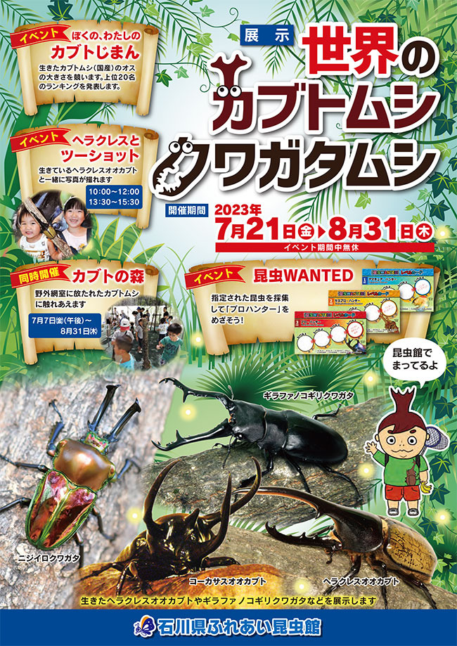 ふれあい昆虫館】「世界のカブトムシ・クワガタムシ」 | イベント | いしかわおでかけガイド 一般財団法人石川県県民ふれあい公社